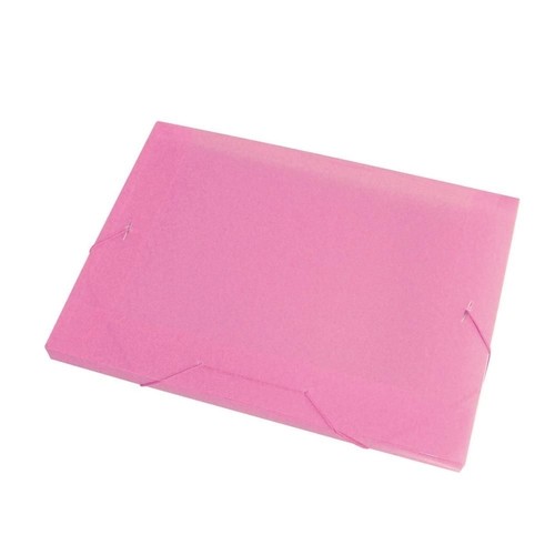 PASTA PLASTICA FC 20MM.ROSA ACP